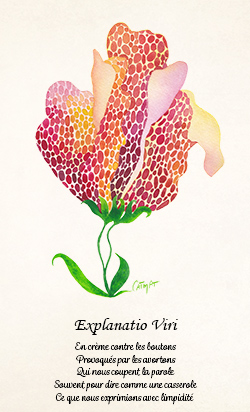 Herbier de la sorciere libre Aquarelle CatMat 2024 Fleur imaginaire
